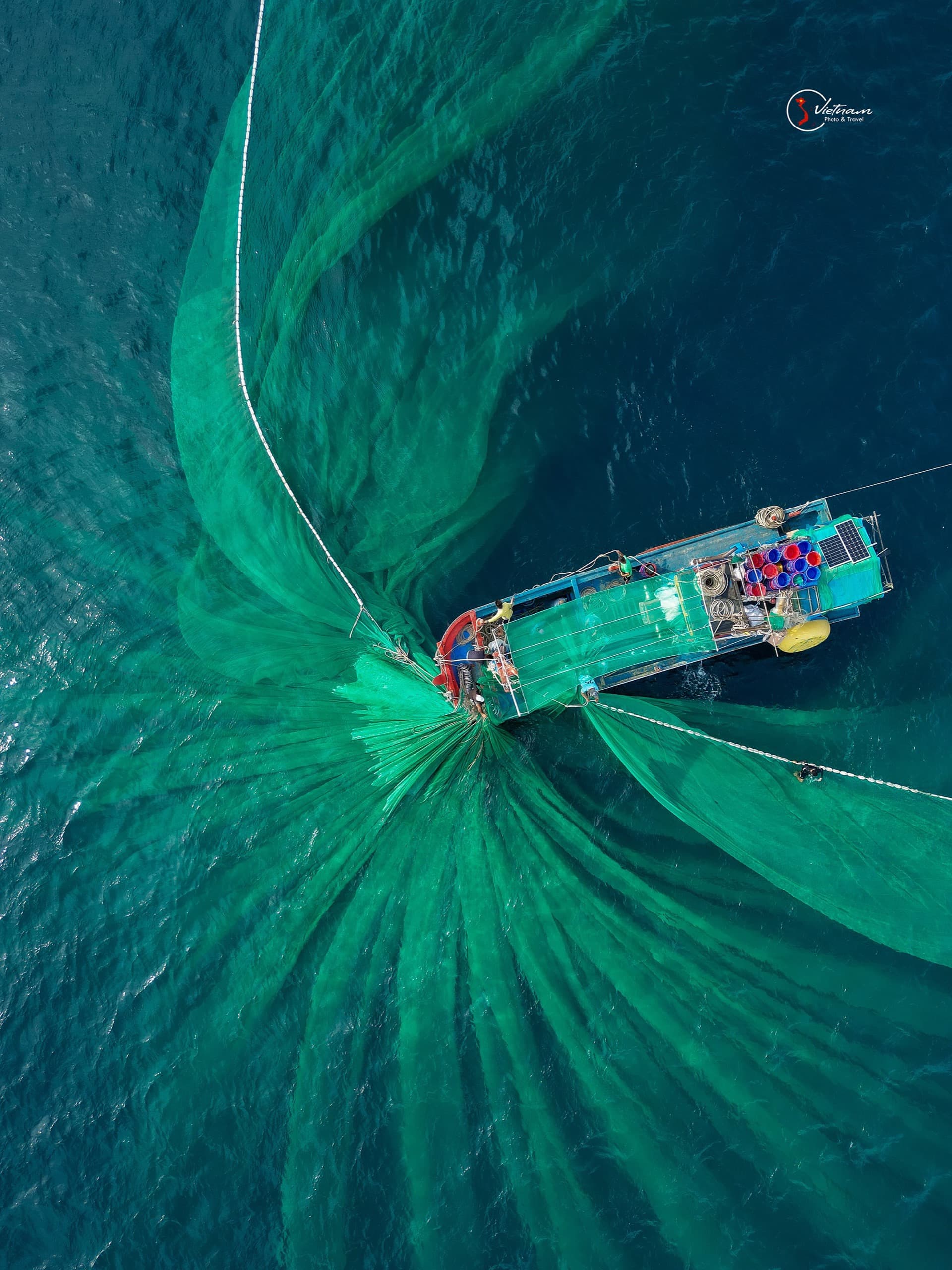 The Anchovy Net