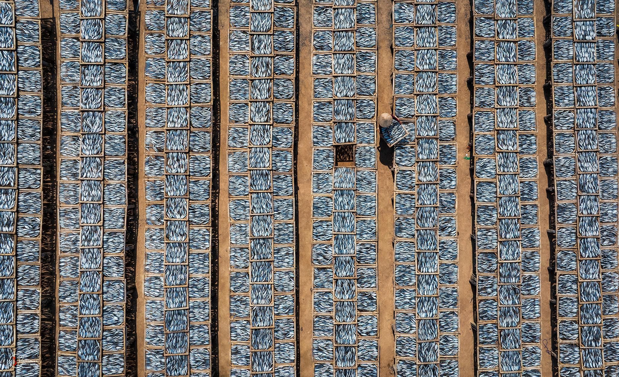 Drying the Catch