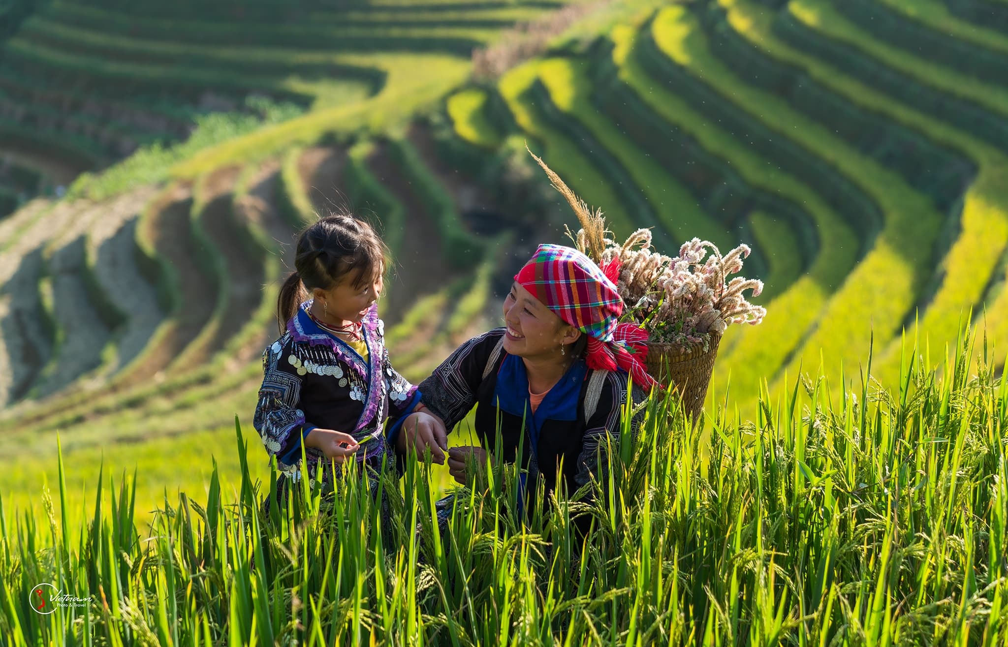Mother and Child, Mù Cang Chải