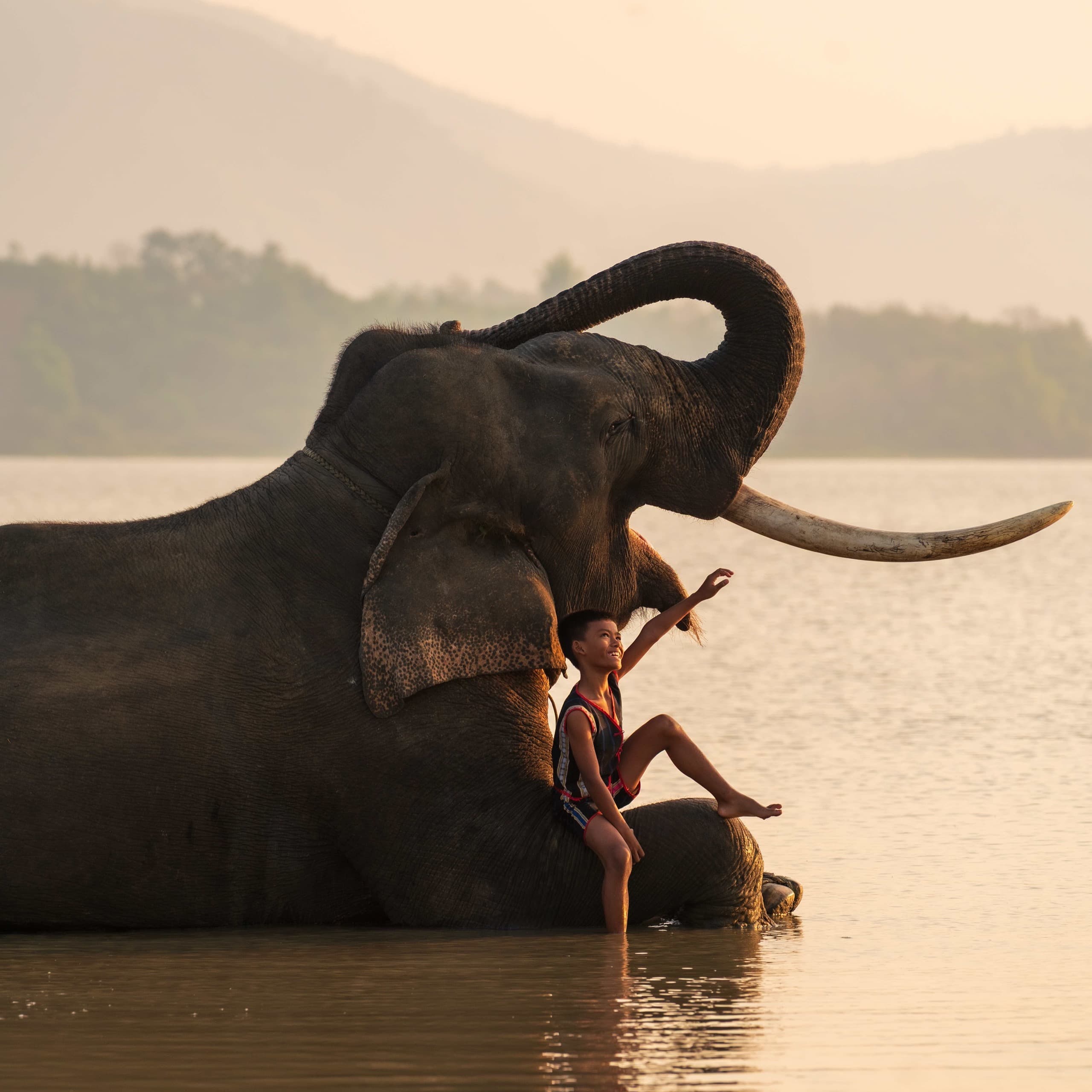 Golden Hour, Lắk Lake
