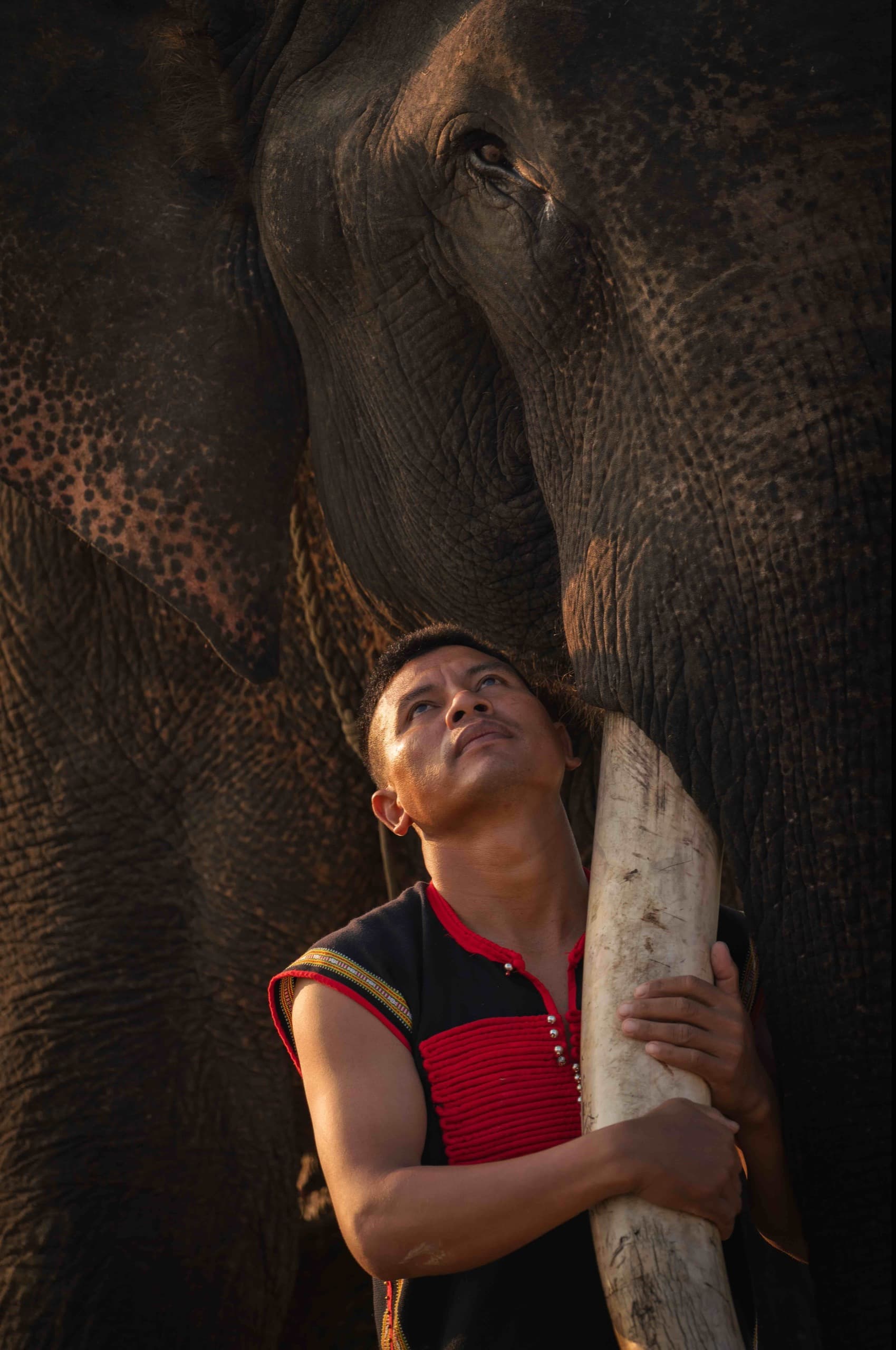 The Mahout