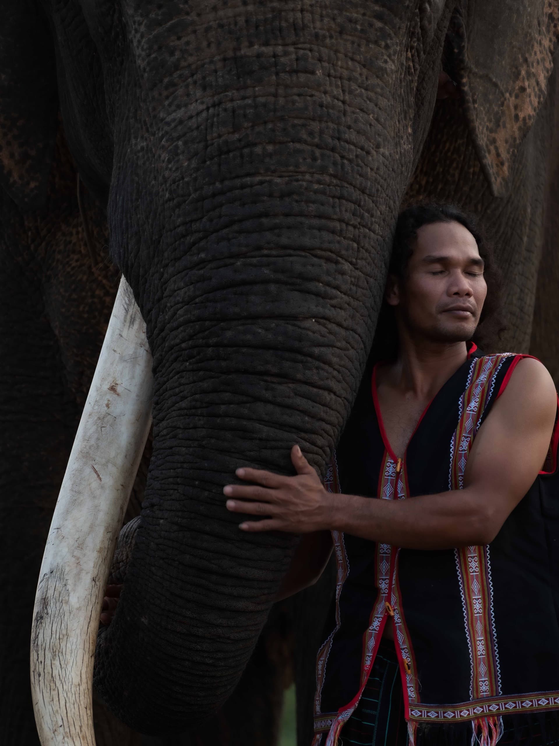 Man and Elephant