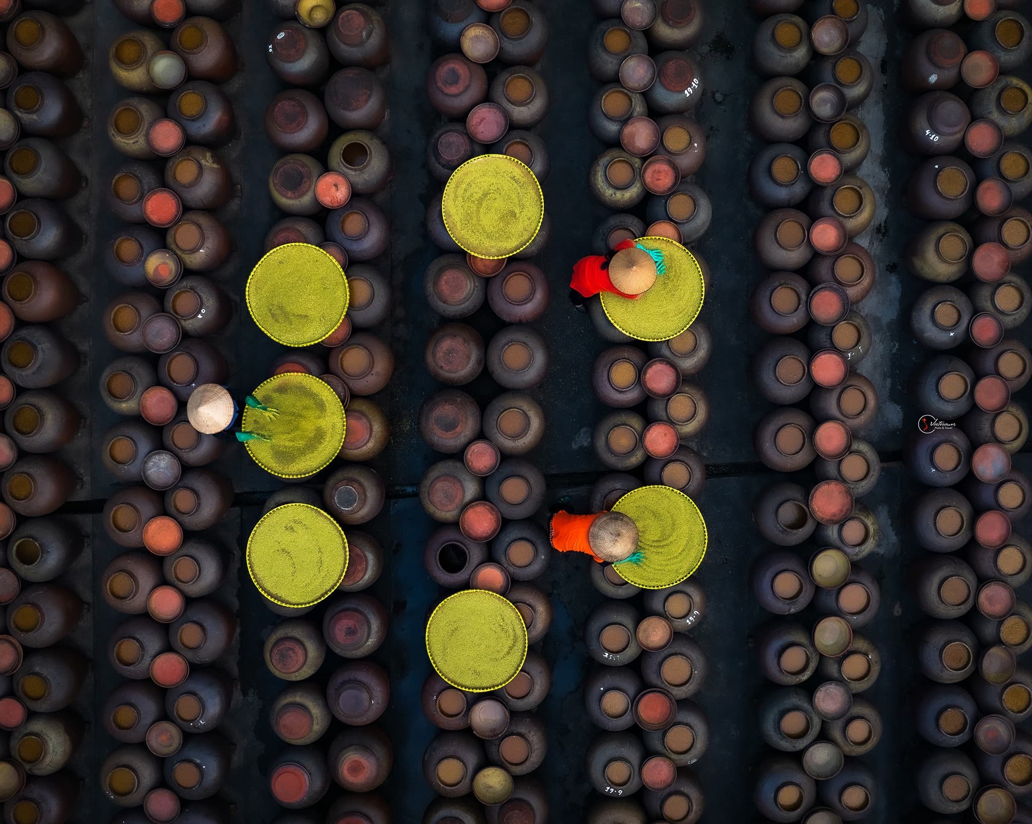 The Soy-Sauce Yard